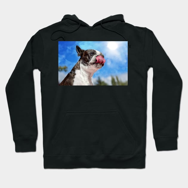 Boston Terrier v Peanut Butter Hoodie by JeffreySchwartz